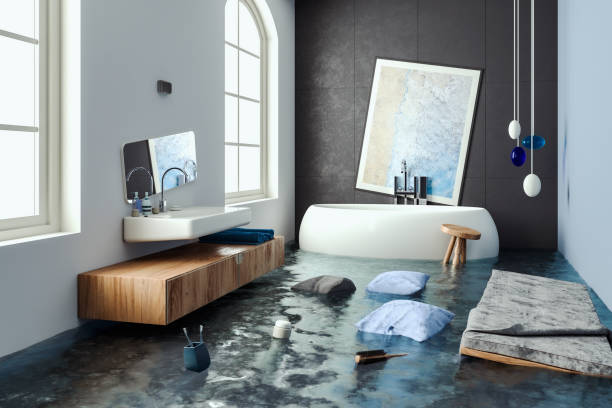 Best Professional water damage repair  in Stonegate, CO
