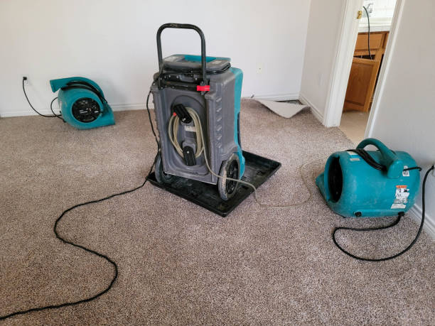  Stonegate, CO Water damage restoration Pros