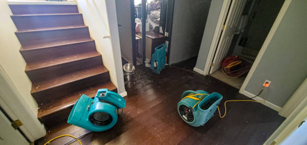 Best Fire Damage Restoration  in Stonegate, CO