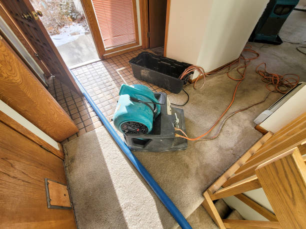 Best Water damage restoration near me  in Stonegate, CO