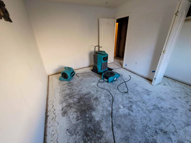 Best Flooded house restoration  in Stonegate, CO