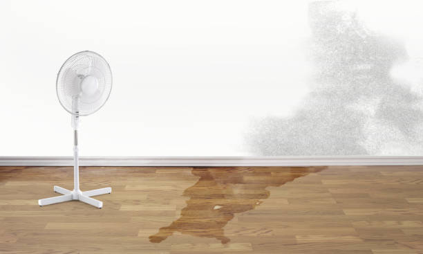 Best Residential water damage restoration  in Stonegate, CO