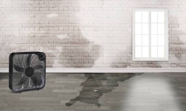 Best 24/7 water damage repair  in Stonegate, CO