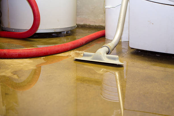 Best Basement water damage restoration  in Stonegate, CO