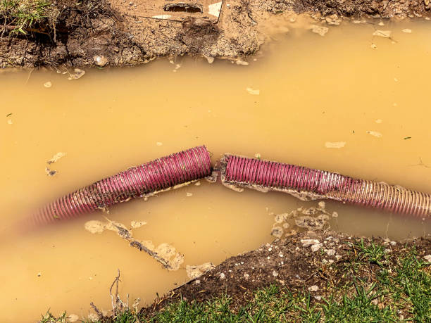 Best Flood damage cleanup  in Stonegate, CO