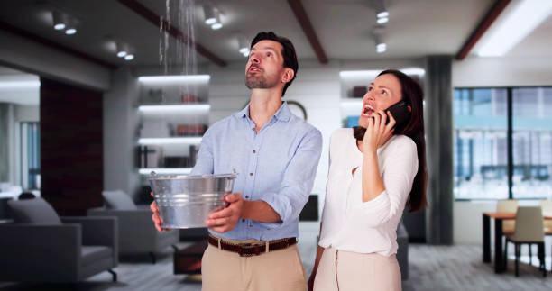 Best Water damage contractors near me  in Stonegate, CO